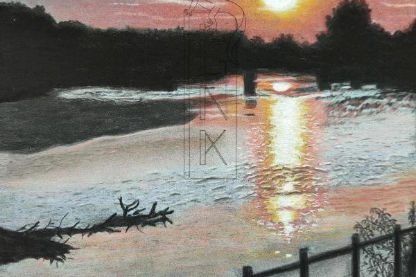 Soleil couchant sur la Saulaie